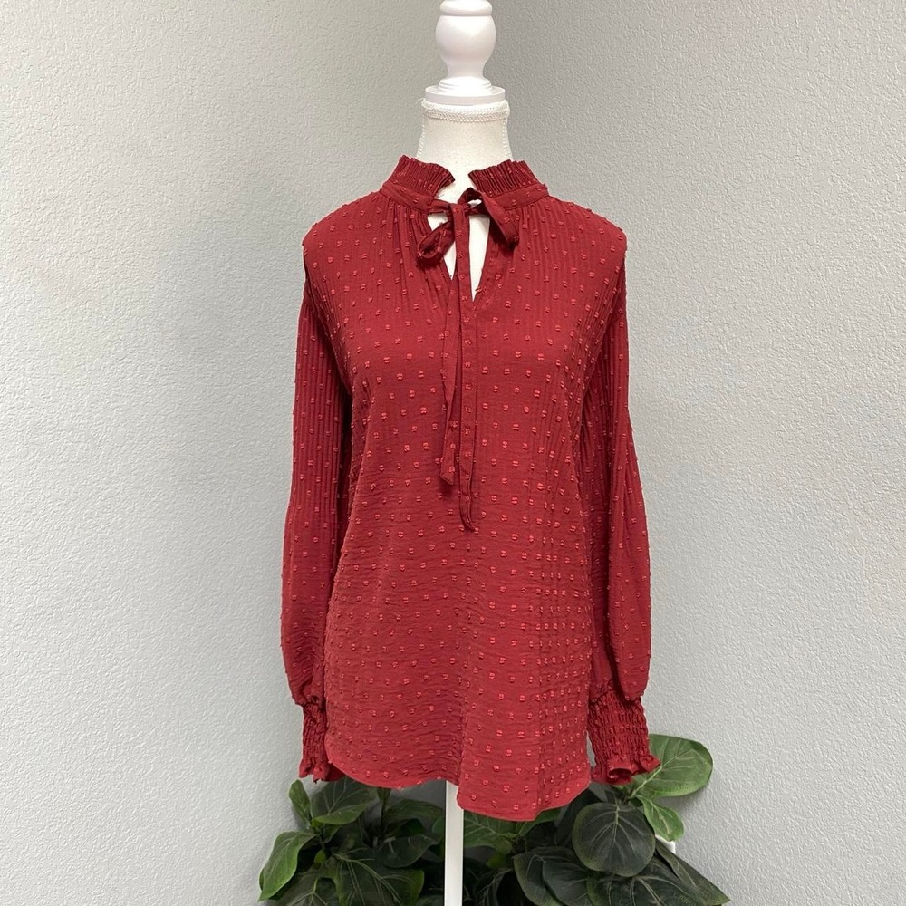 MAX STUDIO LONG SLEEVE PLEATED SWISS DOT TIE NECK BLOUSE WHIMSY ENOLACORE BOHO